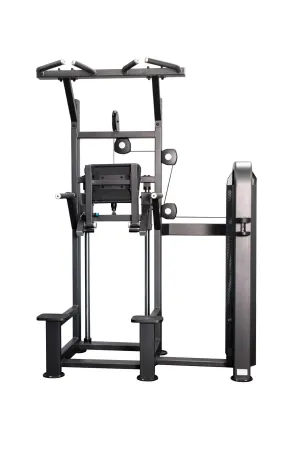 Body Iron Commercial Elite Dip Chin Assist