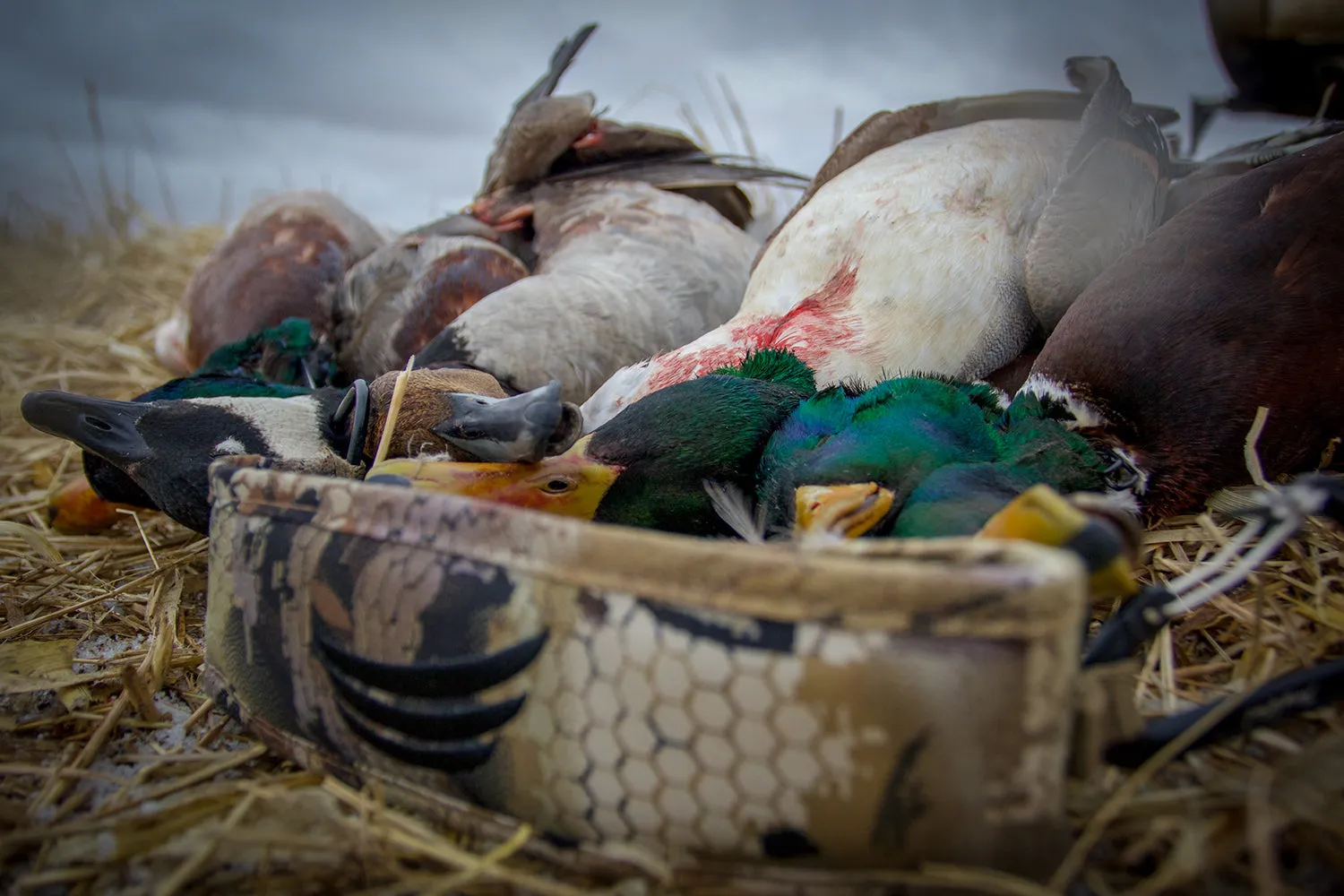 Flight Series Duck Strap - Optifade Marsh