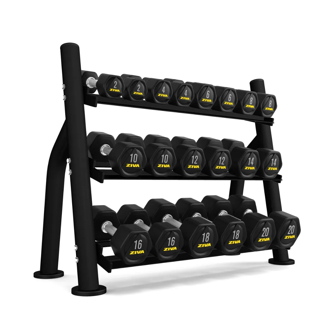 LIQUIDATION SALE- Ziva ST2 Commercial-Grade 10 Pair Dumbbell Storage Rack (Rack Only)