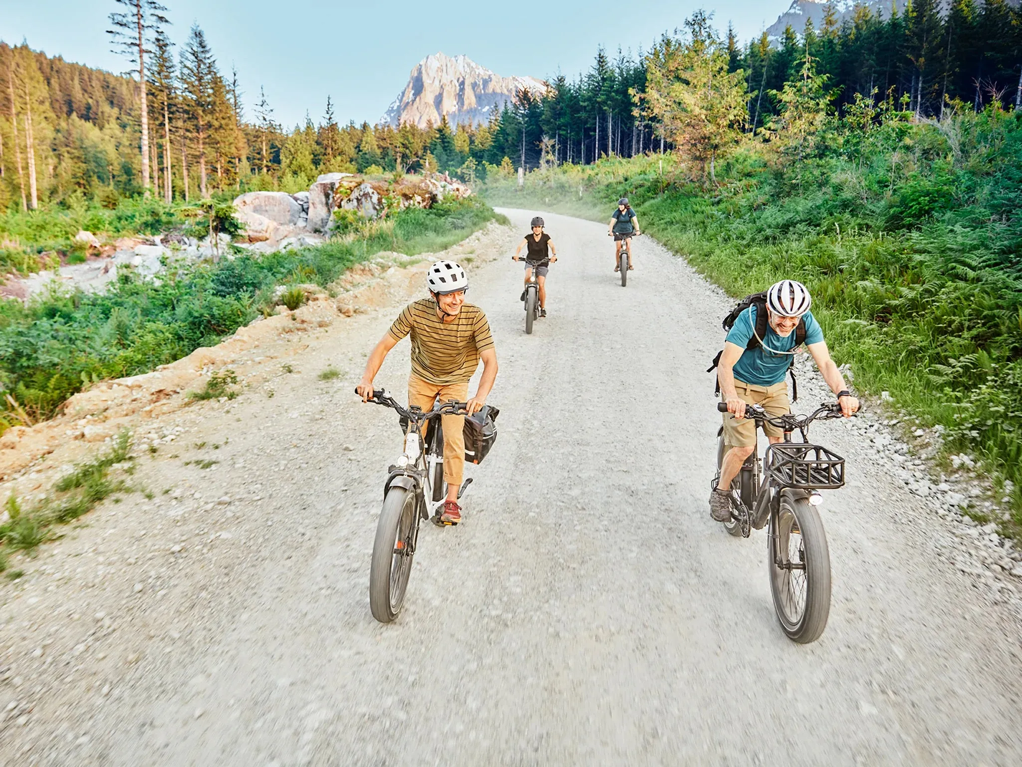RadRover 6 Plus Electric Fat Tire Bike