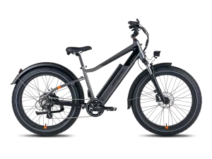RadRover 6 Plus Electric Fat Tire Bike