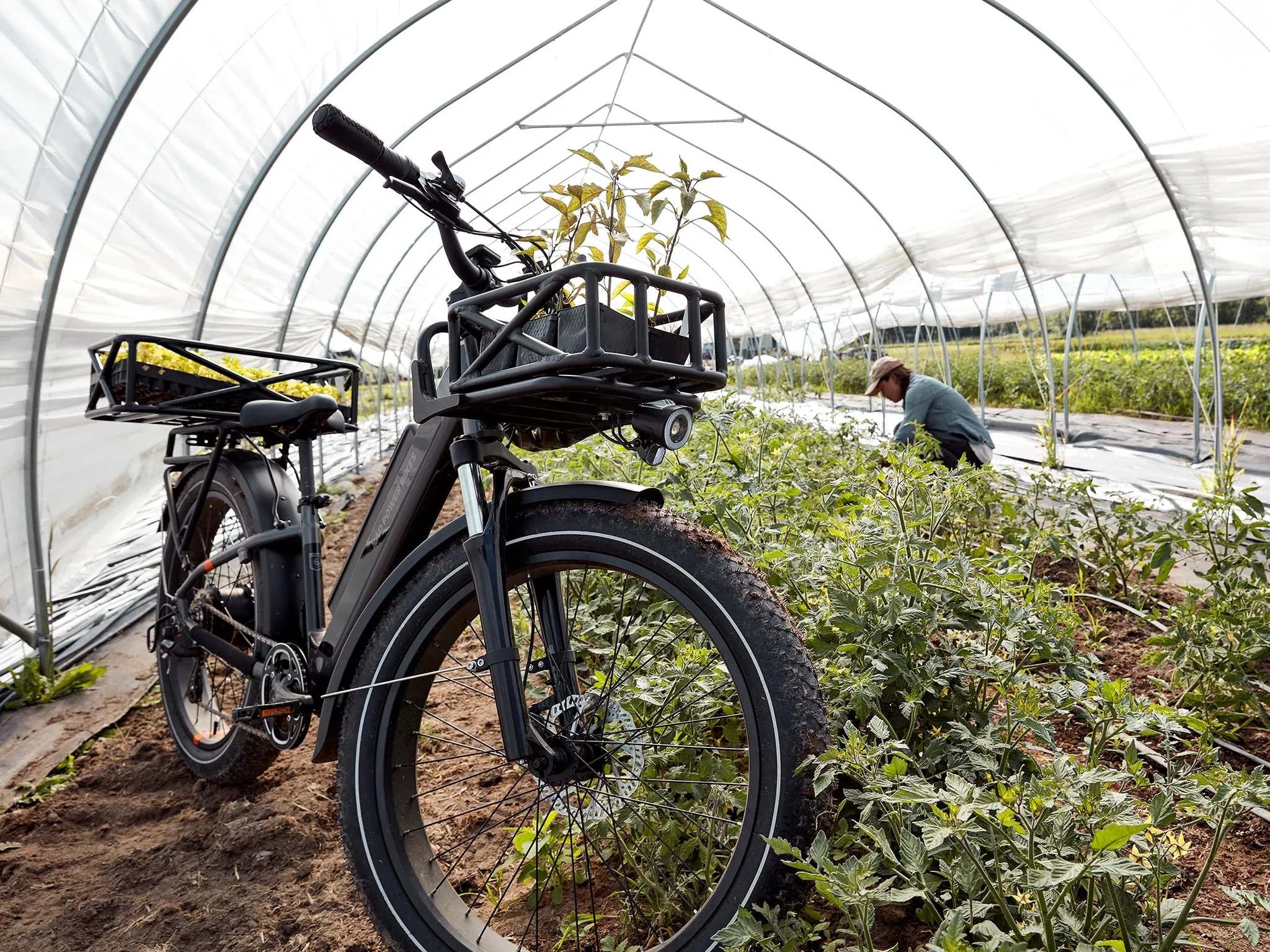 RadRover 6 Plus Electric Fat Tire Bike