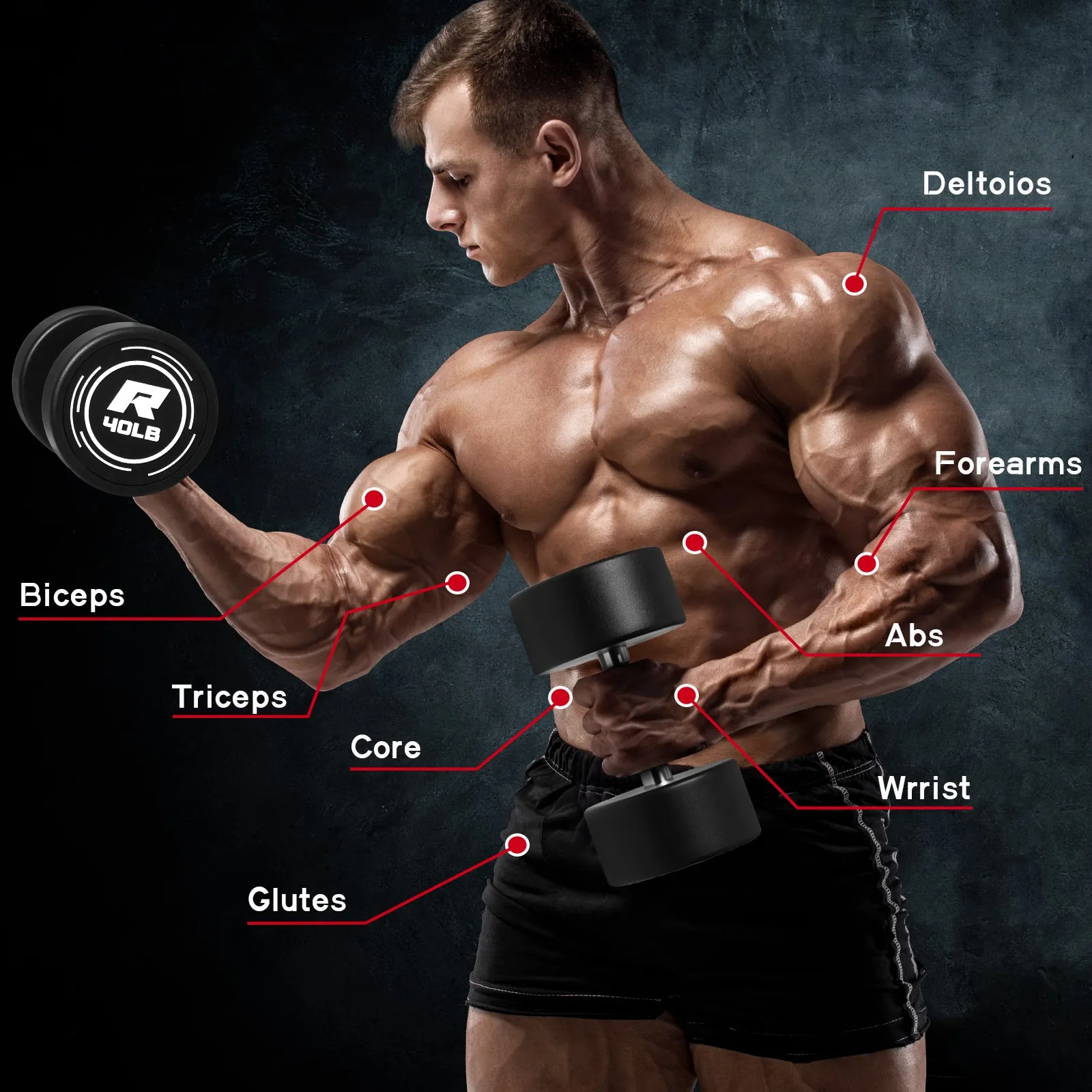 RitFit PVC-Coated Round Head Dumbbells in Pairs